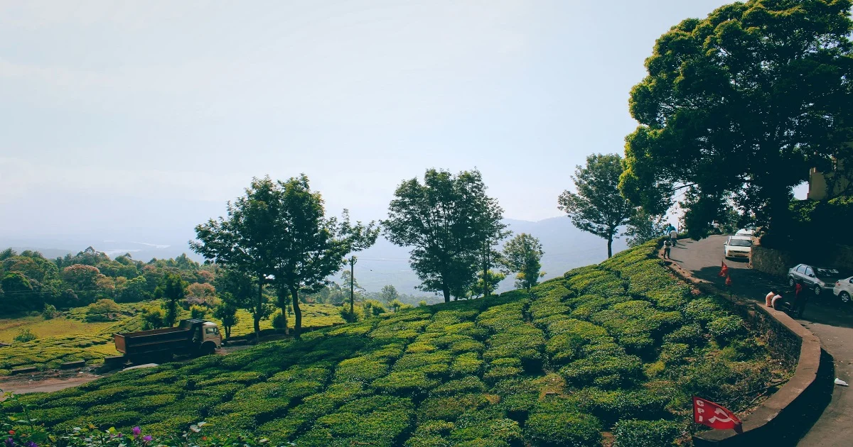 Best-honeymoon-places-in-India- 2021 