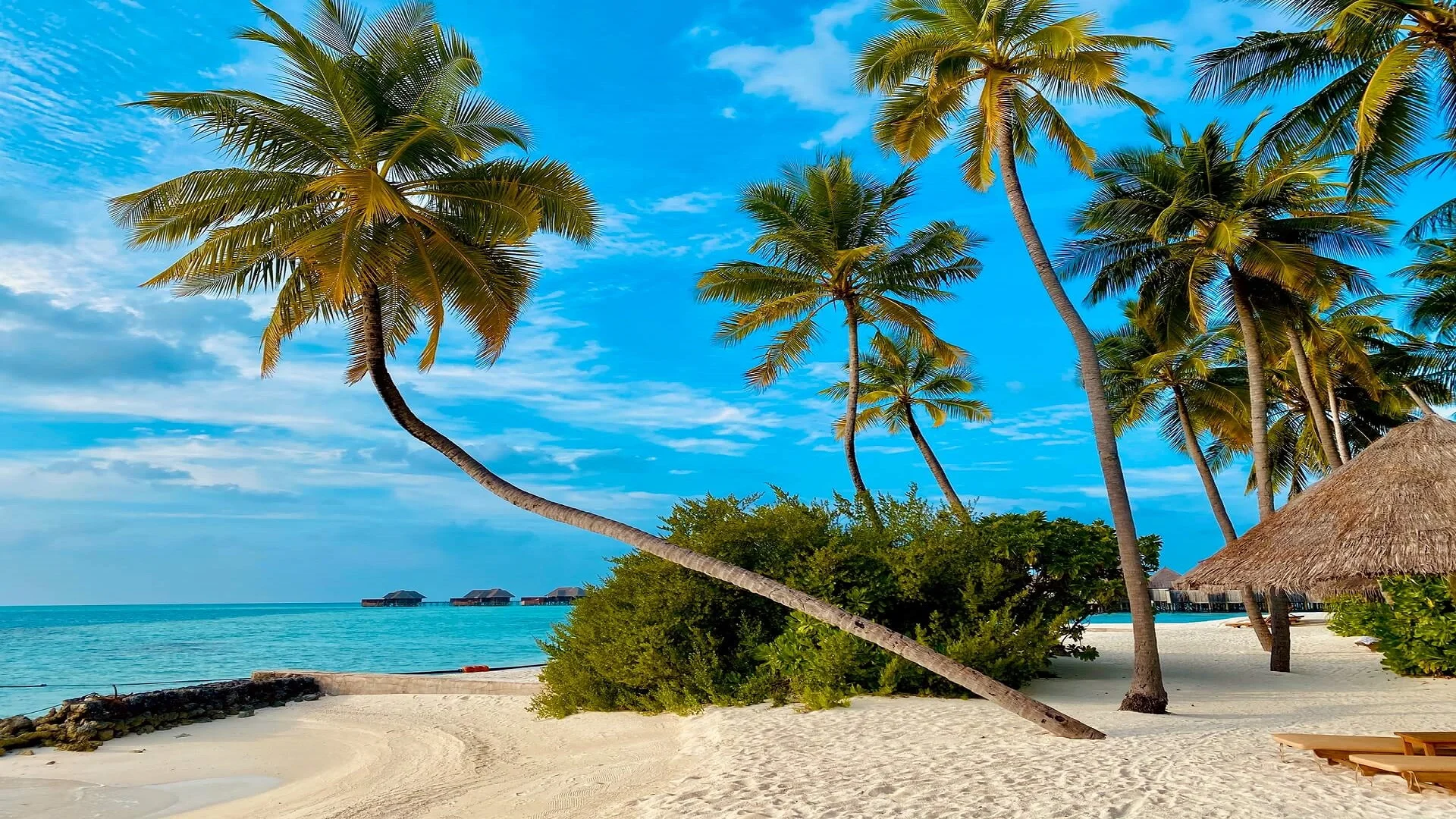 10 Best Island in Maldives for Honeymoon
