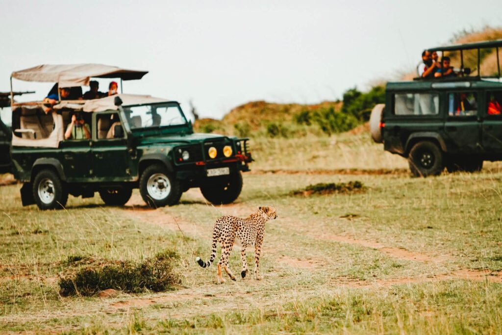 The Top 10 Places to Visit in Jim Corbett National Park