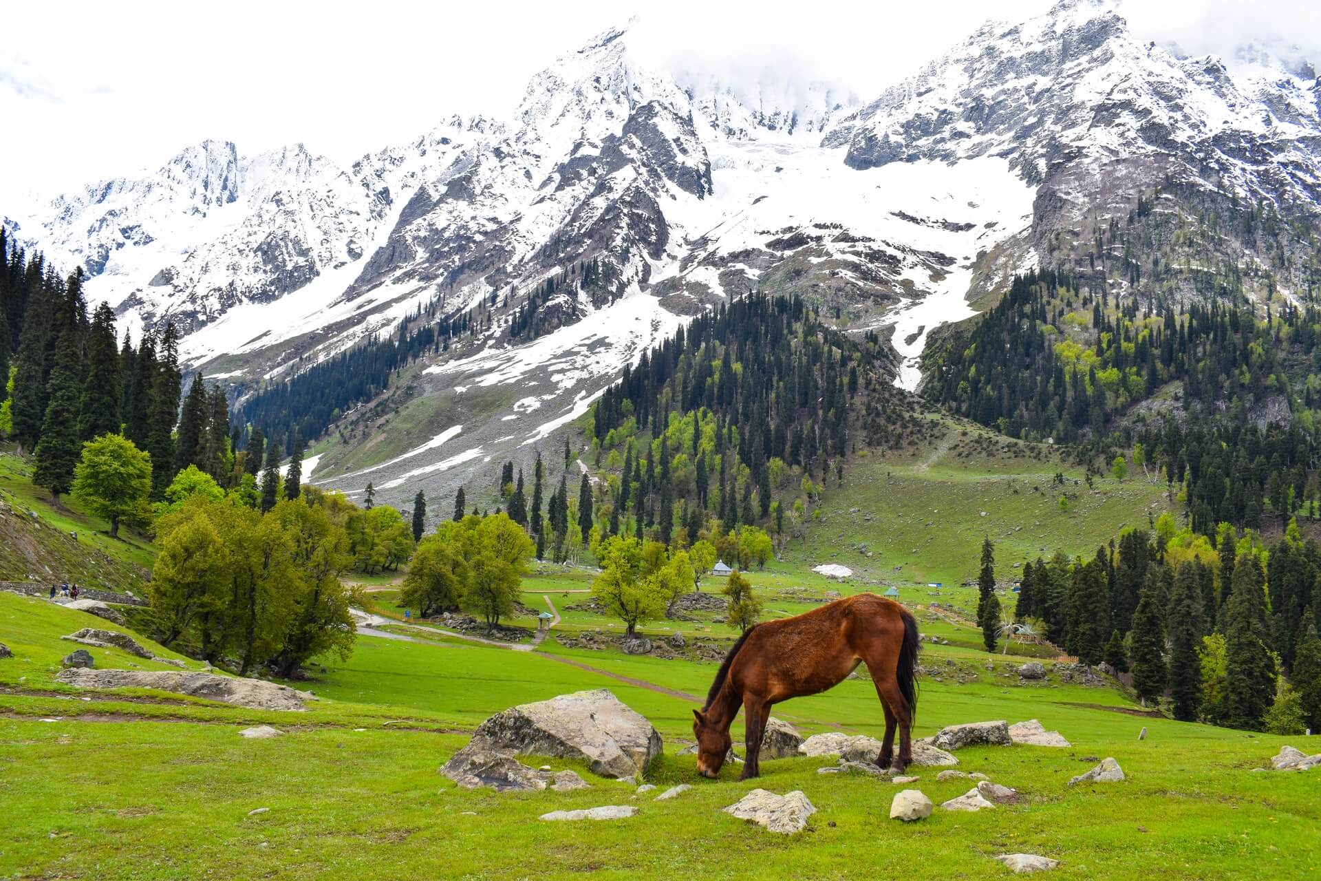 Top10 beautiful places to visit in Kashmir