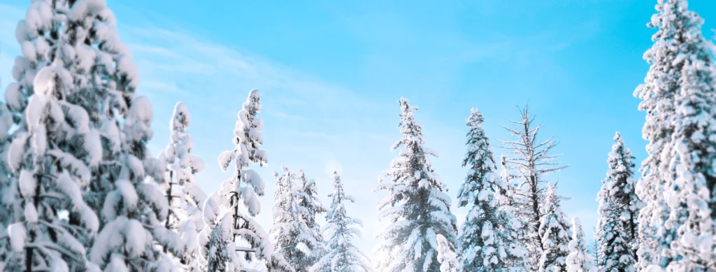 Top 10 Places to visit in India during winter