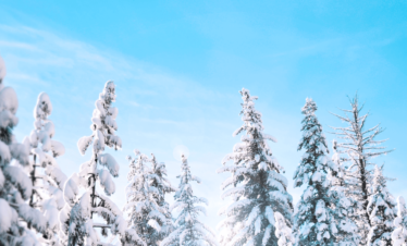 Top 10 Places to visit in India during winter